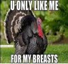 Happy-Thanksgiving-Day-Memes-8.jpg