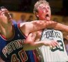 Laimbeer and Bird.jpg