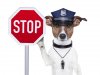 stop-sign-with-a-dog.jpg