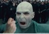 Voldemort-got-your-nose_large.jpg
