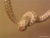 knot.jpg knot.jpg