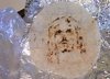 jesus on a tortilla.jpg