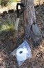 shovel and tp.jpg