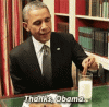 obama-politics.gif