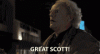 upload_2024-7-1_7-18-25.gif upload_2024-7-1_7-18-25.gif