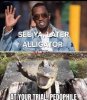 After While Crocodile.jpg