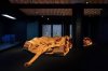 images (20).jpeg images (20).jpeg