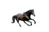 Maverick+3-5-removebg-preview.png Maverick+3-5-removebg-preview.png