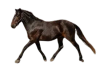 images__24_-removebg-preview.png images__24_-removebg-preview.png