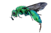 IMG_20250124_131423_01.png IMG_20250124_131423_01.png