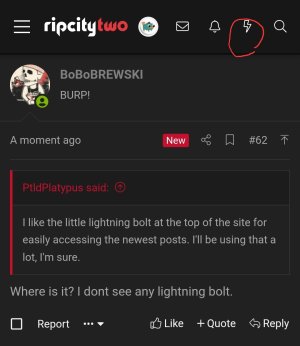1000010969.jpg
