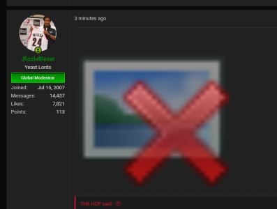 1761844958536.png 1761844958536.png