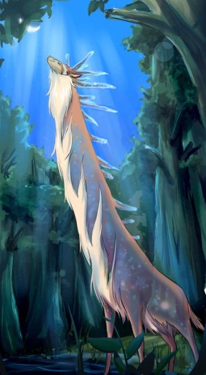 IMG_5553.jpeg IMG_5553.jpeg