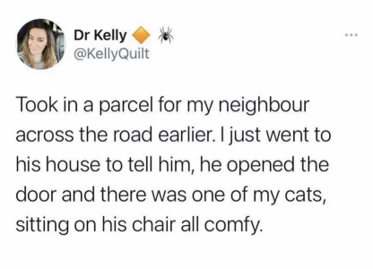 1768100416637.png 1768100416637.png