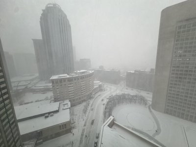 IMG_7126.jpeg IMG_7126.jpeg