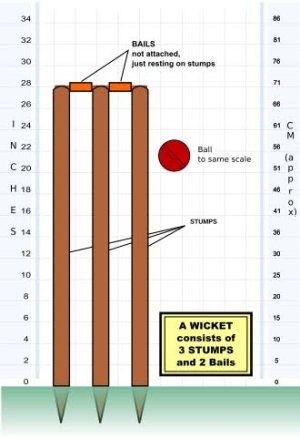 1771009901257.jpeg 1771009901257.jpeg