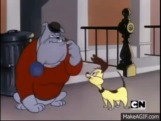 1000003193.gif 1000003193.gif