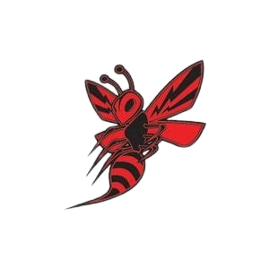 images__2_-removebg-preview (1).png