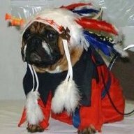 SlyPokerDawg