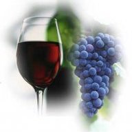 LI Vineyard Tours