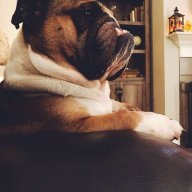 Franckly Speaking