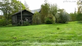 1280403633_cool-dog-mowing-the-lawn.gif