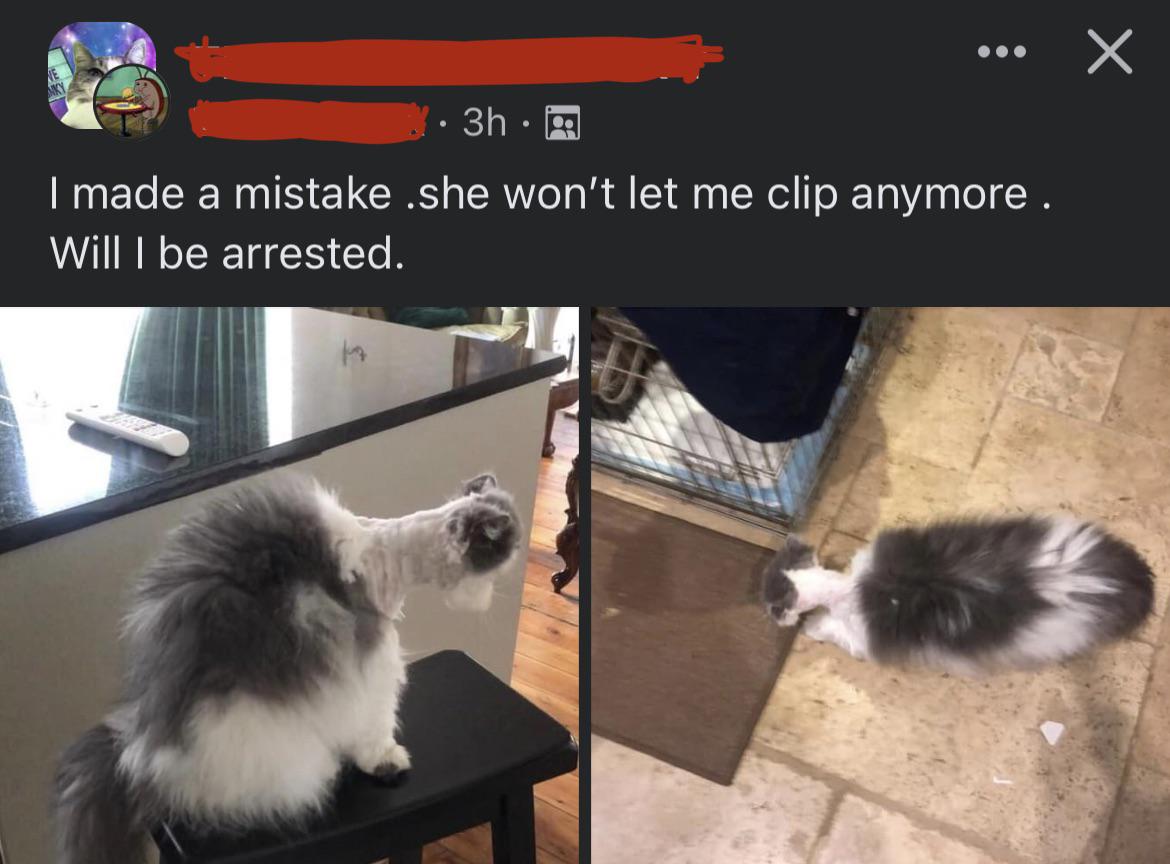mt2acei9y5781.jpg