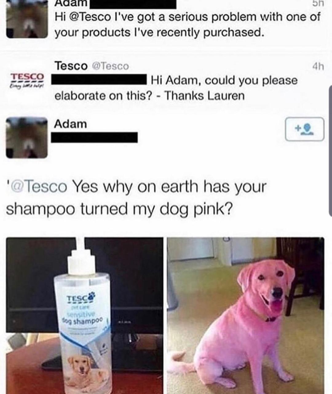 48pe3b9qziw31.jpg