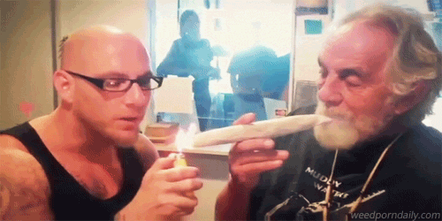 tumblr_n1fwaeasib1st59yxo7_500.gif