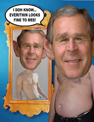 Bush+Mirror.jpg