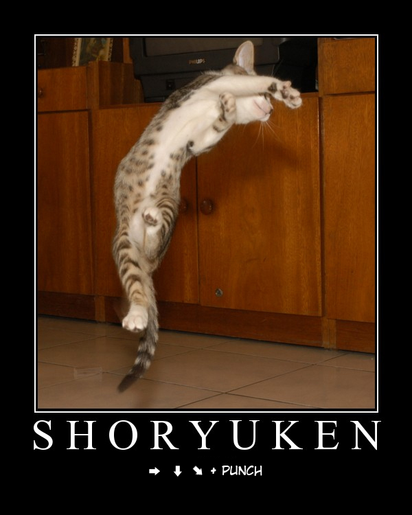 1174329819-shoryukenou0.b.jpg