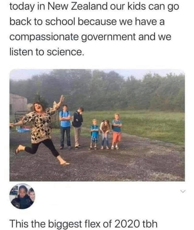 z6dwftqw2pb51.jpg