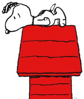 Snoopy_on_house.png