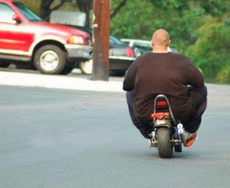 2346f-funny-fat-man-on-scooter-53453.jpg