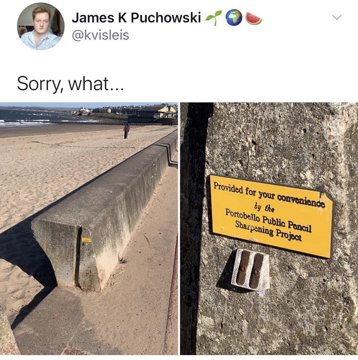 wza2uxxyw6u41.jpg
