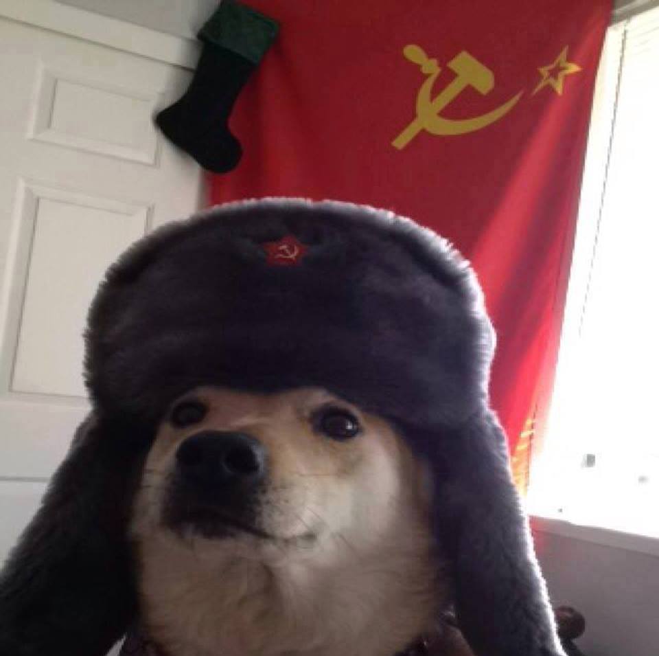 daa.jpg