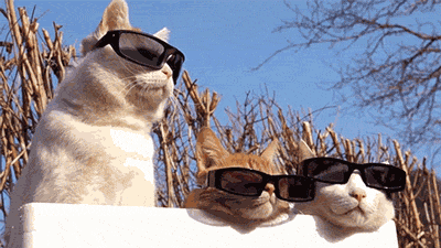 tumblr_n4uxhtAM7G1r93b1wo1_400.gif