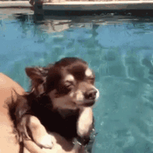 knjlovs-funny.gif