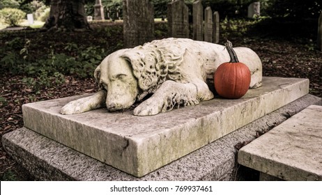 grave-dog-260nw-769937461.jpg