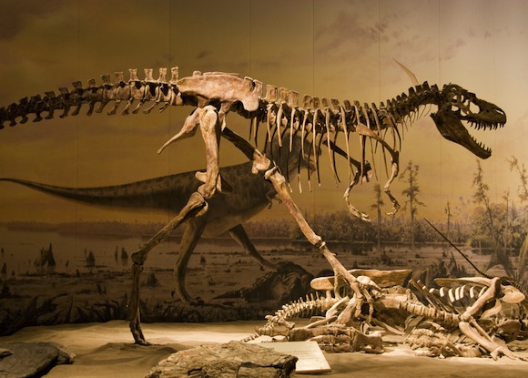 dinosaur-skeleton.jpg