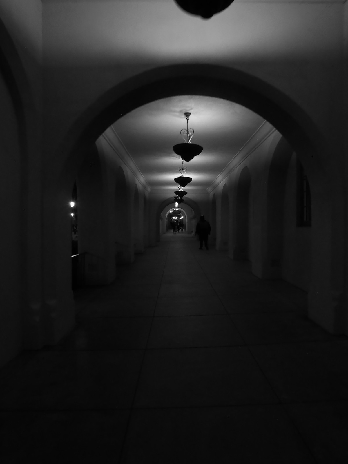 53463762739_c0142d7898_h.jpg