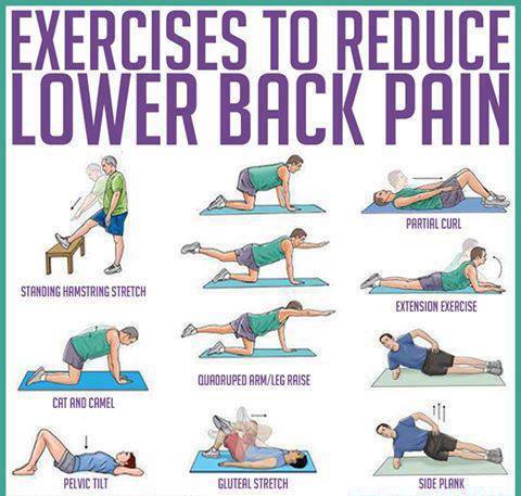 Exercises-to-reduce-lower-back-pain.jpg
