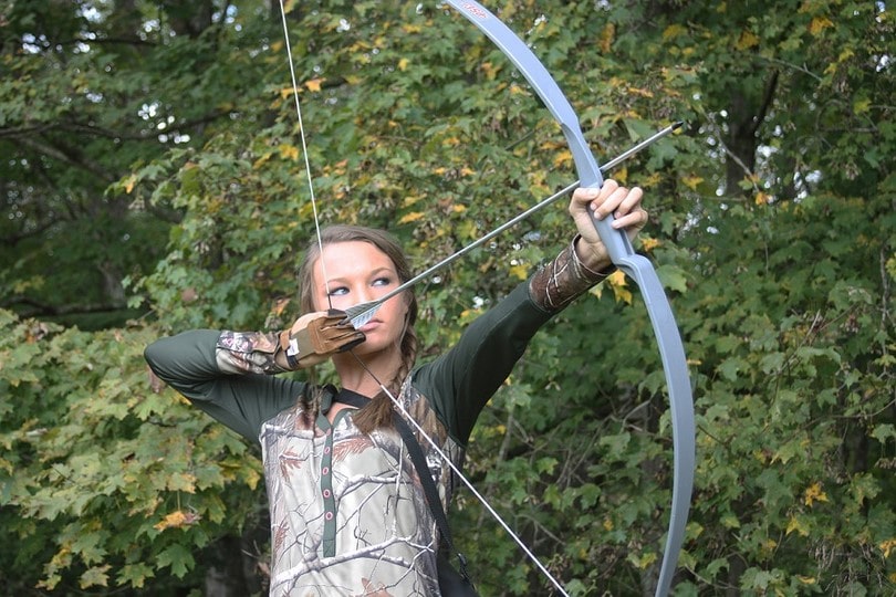 Silver-snake-hunting-bow.jpg
