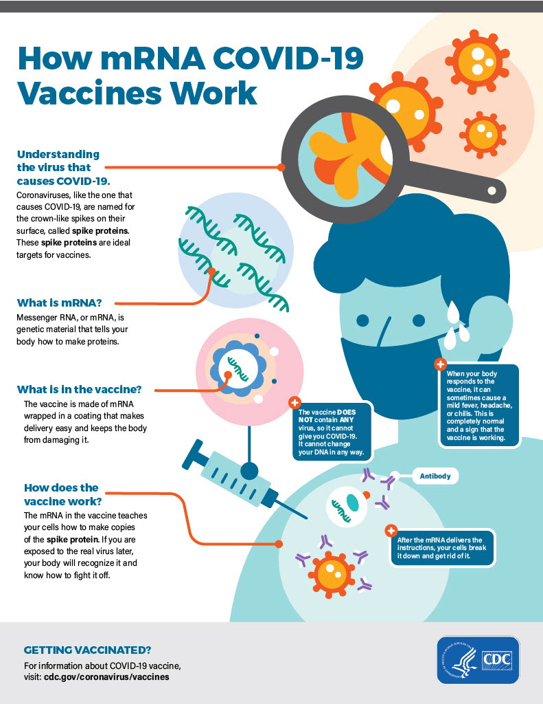 How-mRNA-COVID-19-Vaccines-Work.jpg