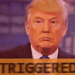 triggered__1__by_themoonlitmasquerade-db4bllg.gif