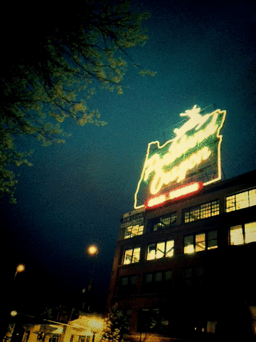 tumblr_m31lb8vA7p1qz8xtho1_400.gif