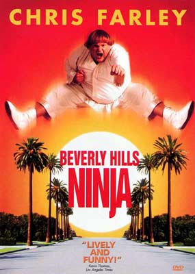 beverly_hills_ninja1.jpg