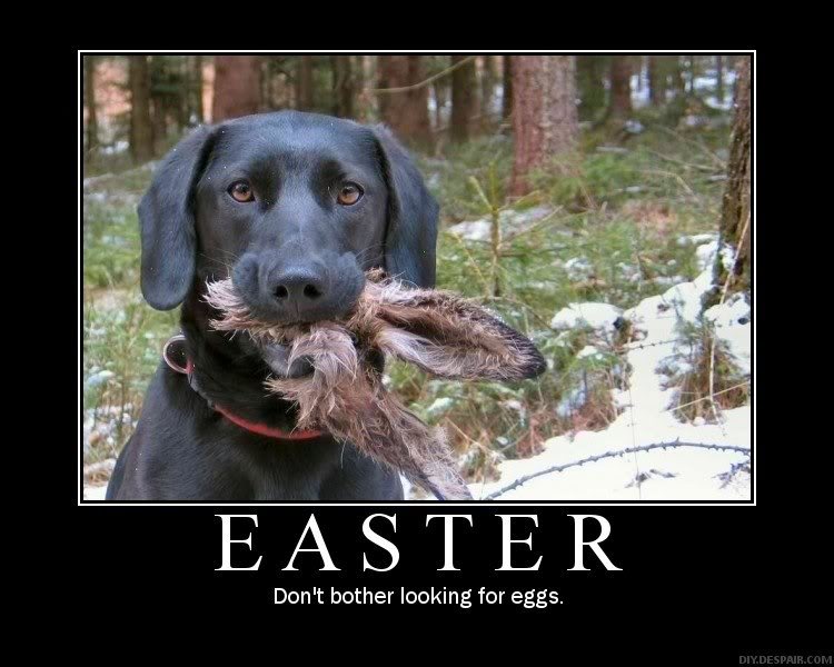 easter-humor-dog-killed-rabbit.jpg