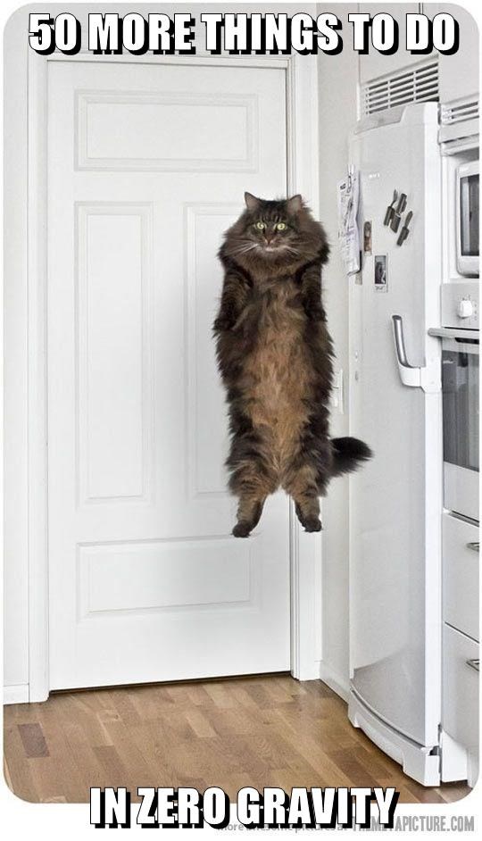 50-more-things-to-do-in-zero-gravity