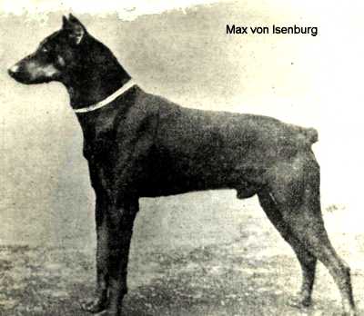 max_v_kaiserring.jpg